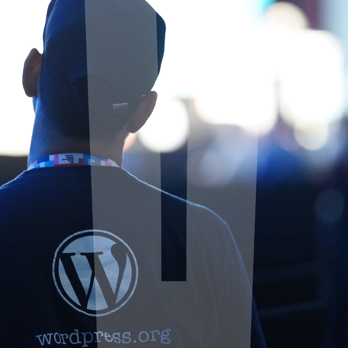 Why WordPress powers most of the web